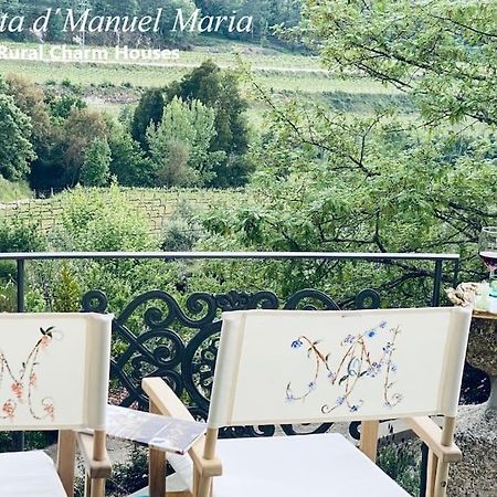 Amarante-Quinta D'Manuel Maria, Rural Charm Houses 外观 照片
