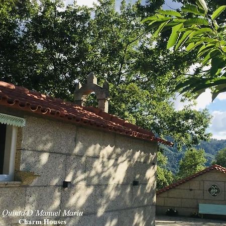 Amarante-Quinta D'Manuel Maria, Rural Charm Houses 外观 照片