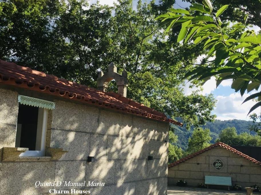Amarante-Quinta D'Manuel Maria, Rural Charm Houses 外观 照片