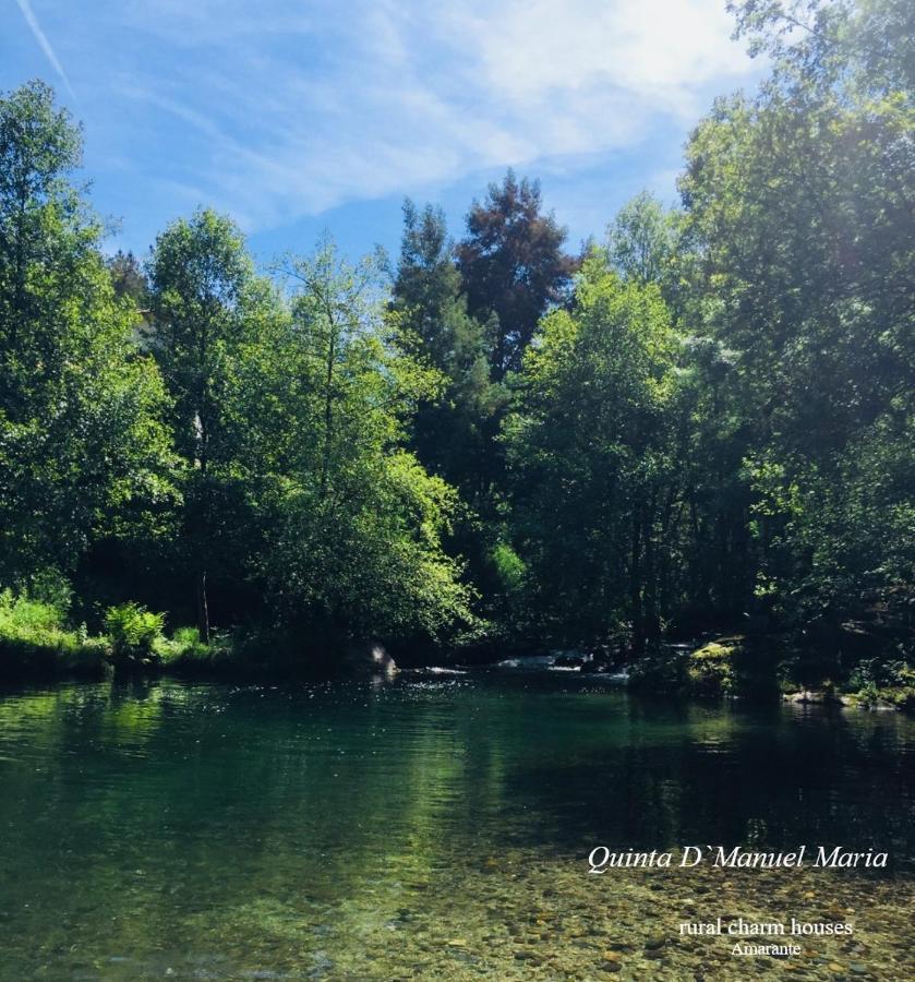 Amarante-Quinta D'Manuel Maria, Rural Charm Houses 外观 照片