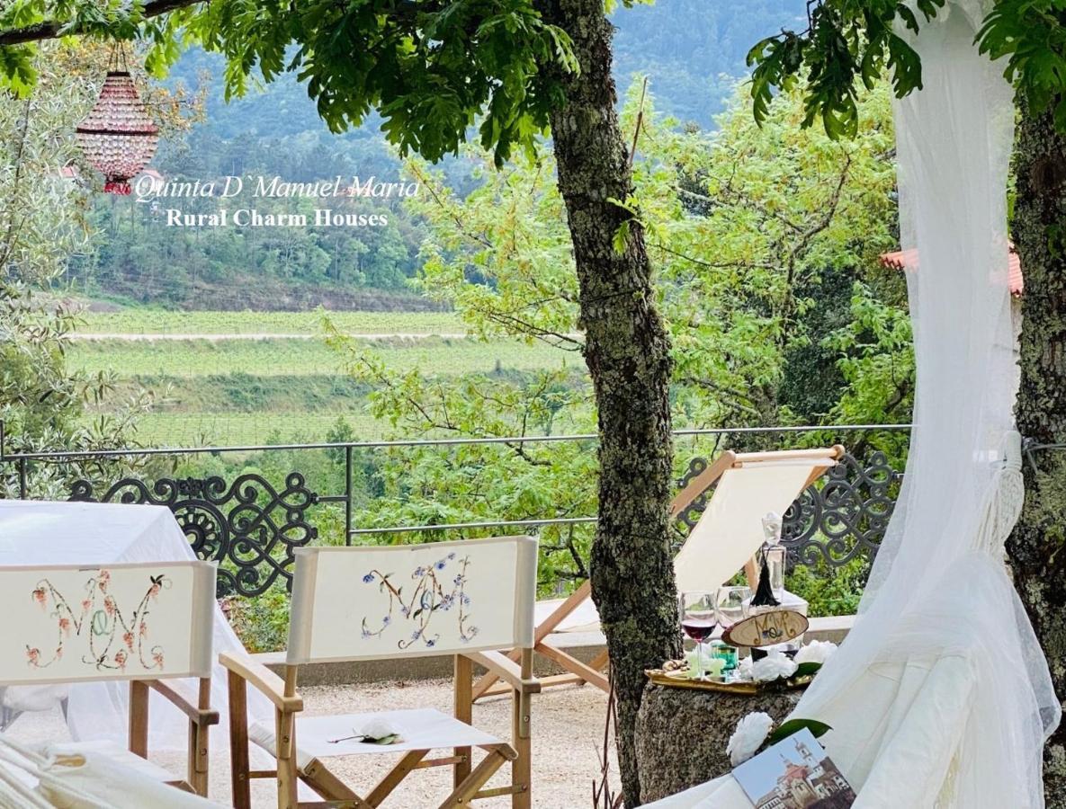 Amarante-Quinta D'Manuel Maria, Rural Charm Houses 外观 照片